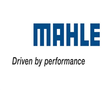logo8